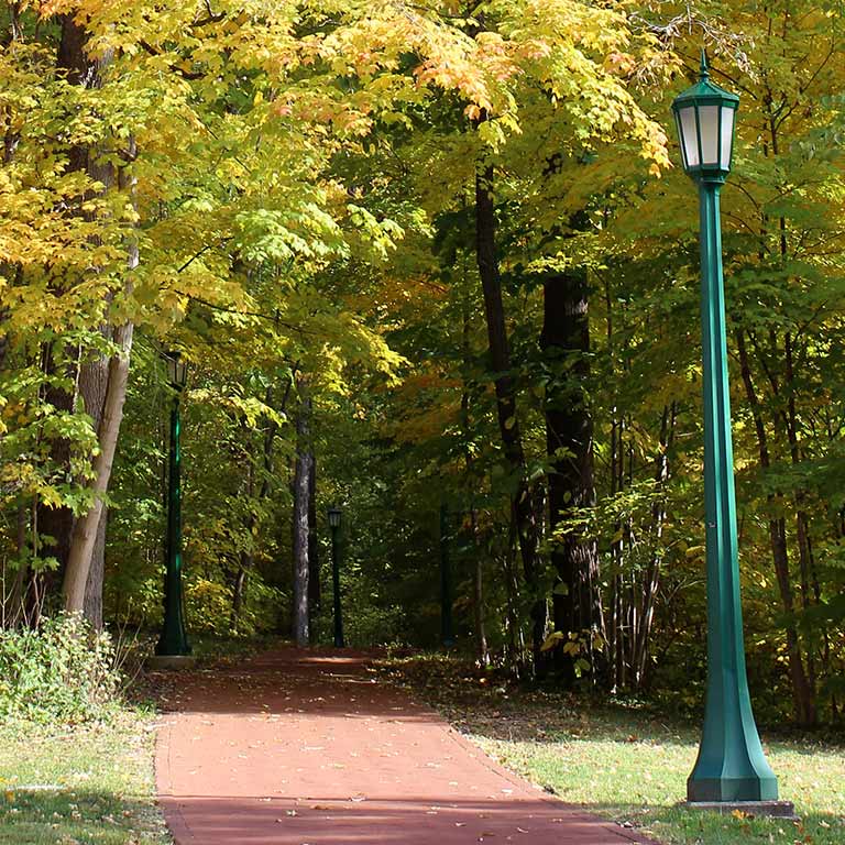 A walking path within Dunn's Woods on the IU Bloomington campus