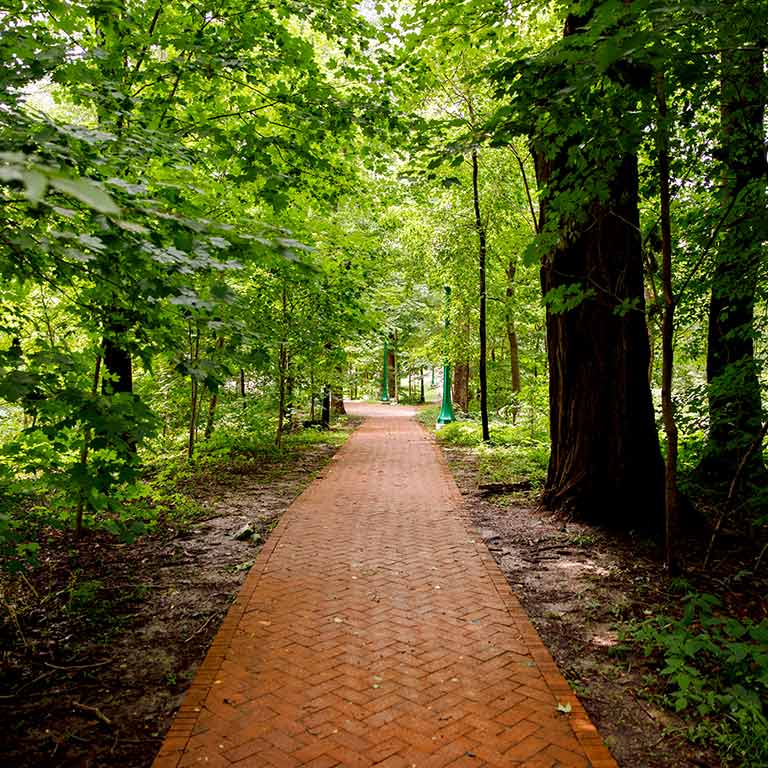 A brick path runs through Dunn‘s Woods on the IU Bloomington campus.
