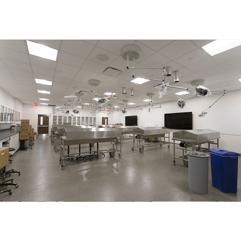 Health Sciences - Regional Academic Health Center Bloomington